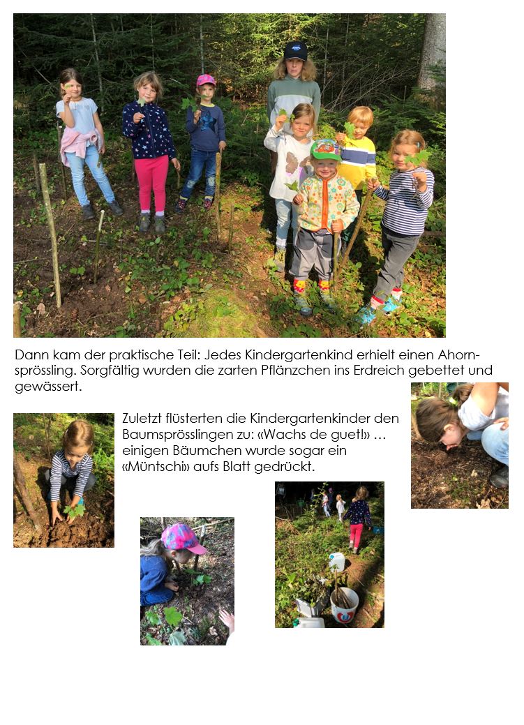 Bäumchensetzen 3